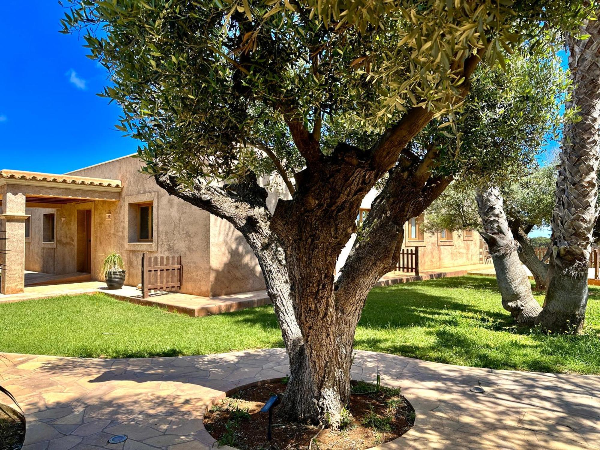 הוילה Cala Boix Agroturismo Sa Marina - Adults Only מראה חיצוני תמונה