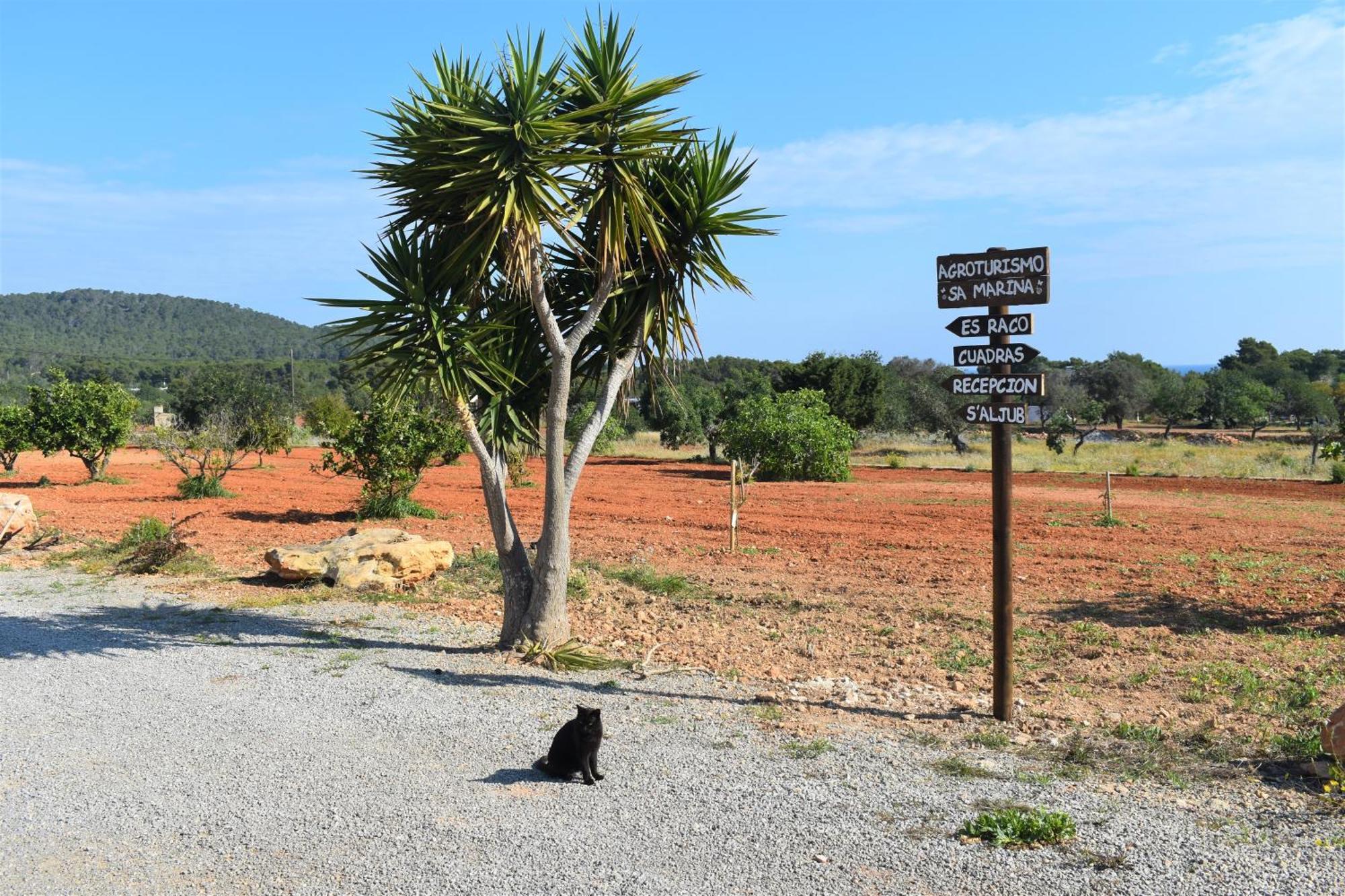 הוילה Cala Boix Agroturismo Sa Marina - Adults Only מראה חיצוני תמונה
